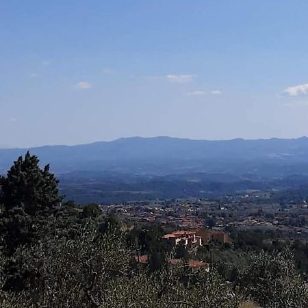 Villa Bensi Agrifarm La Corte 게스트하우스 외부 사진