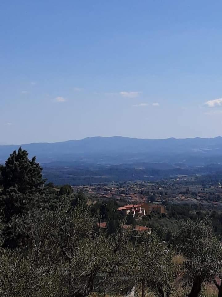 Villa Bensi Agrifarm La Corte 게스트하우스 외부 사진